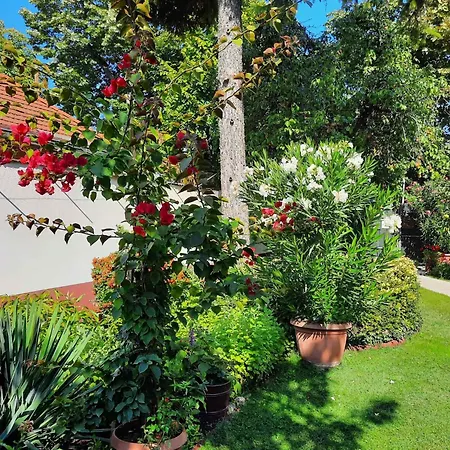 Siofok, Balaton 5 Διαμέρισμα *