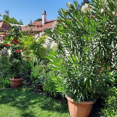 Siofok, Balaton 5 Διαμέρισμα Σίοφοκ