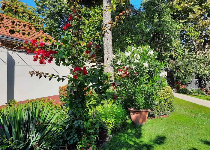 Siofok, Balaton 5 דירה *