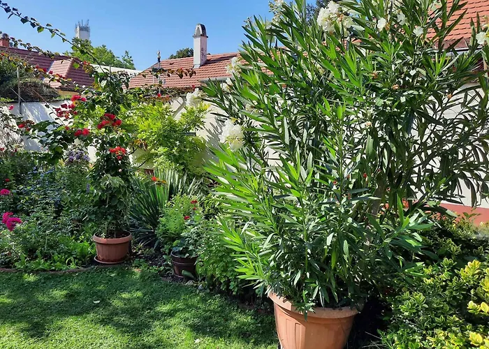 Siofok, Balaton 5 Διαμέρισμα Σίοφοκ